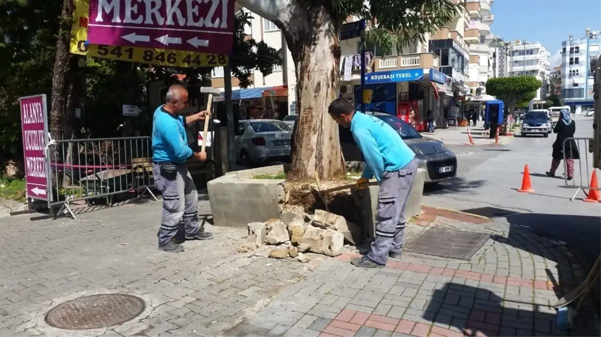 Alanya Belediyesinden Hizmet Atağı