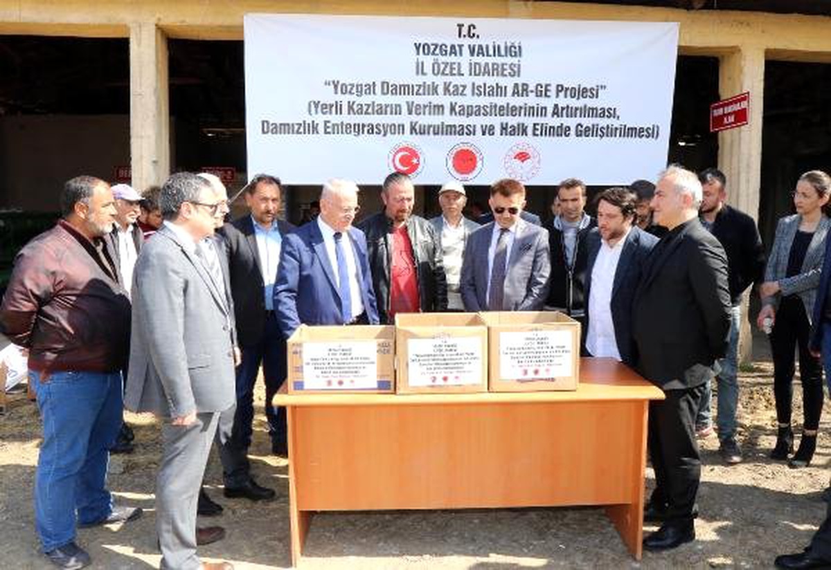 Bozok Üniversitesi\'nden Kaz Yetiştiricilerine Destek