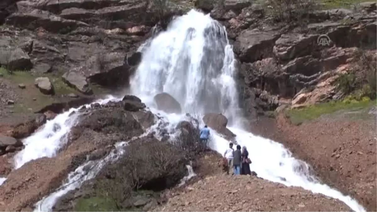 Çukurca\'da Mesire Alanları Şenlendi