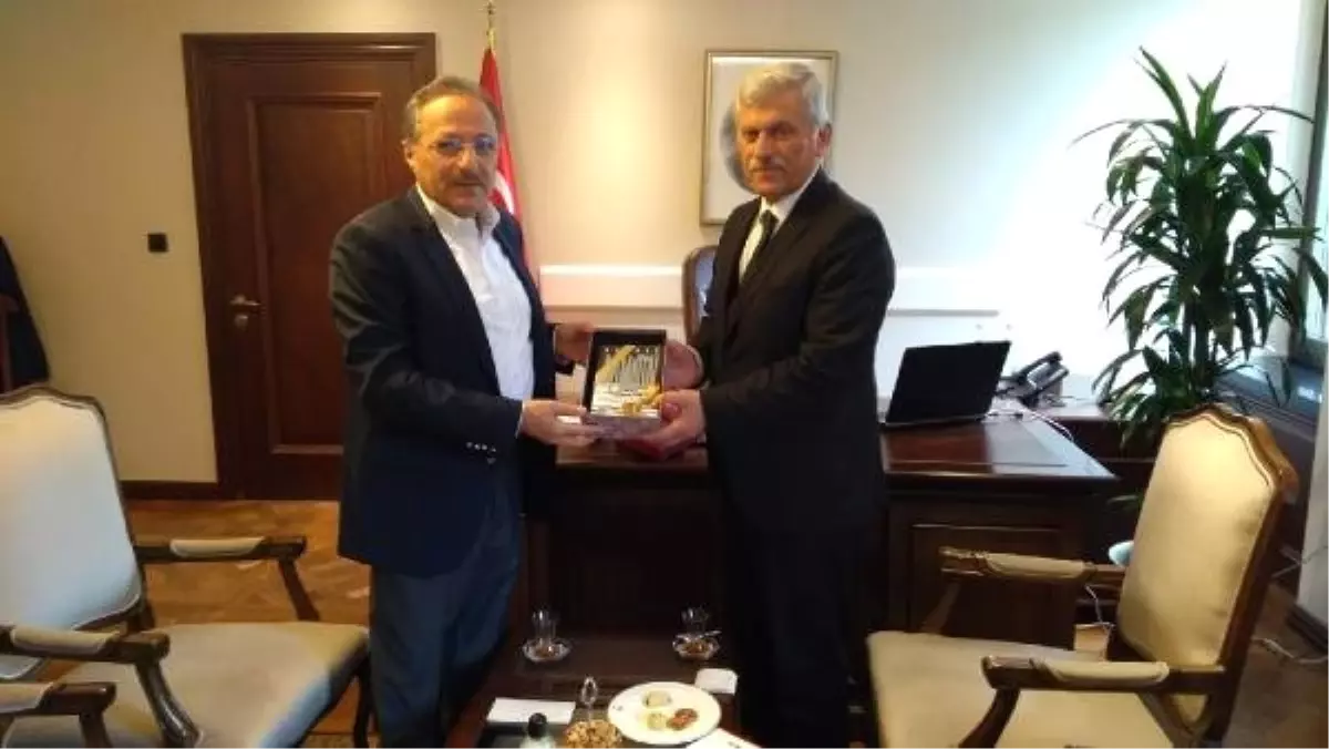 Veteriner Hekimlerin Sorunları Cumhurbaşkanlığına Rapor Olarak Sunuldu