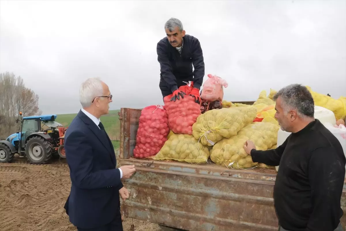 Yozgat\'ta 6 Çeşit Yerli Patates Tohumu Ekildi