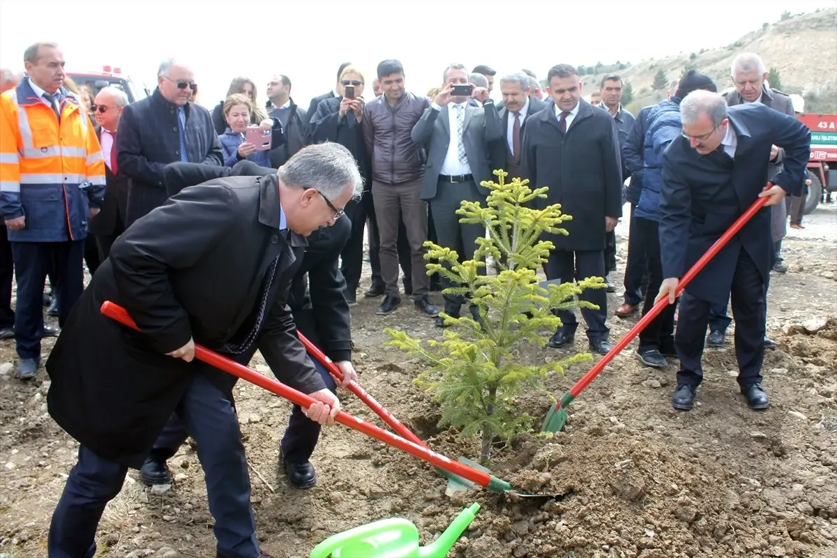 16 Yılda 4 Milyar Fidanı Toprakla Buluşturduk"