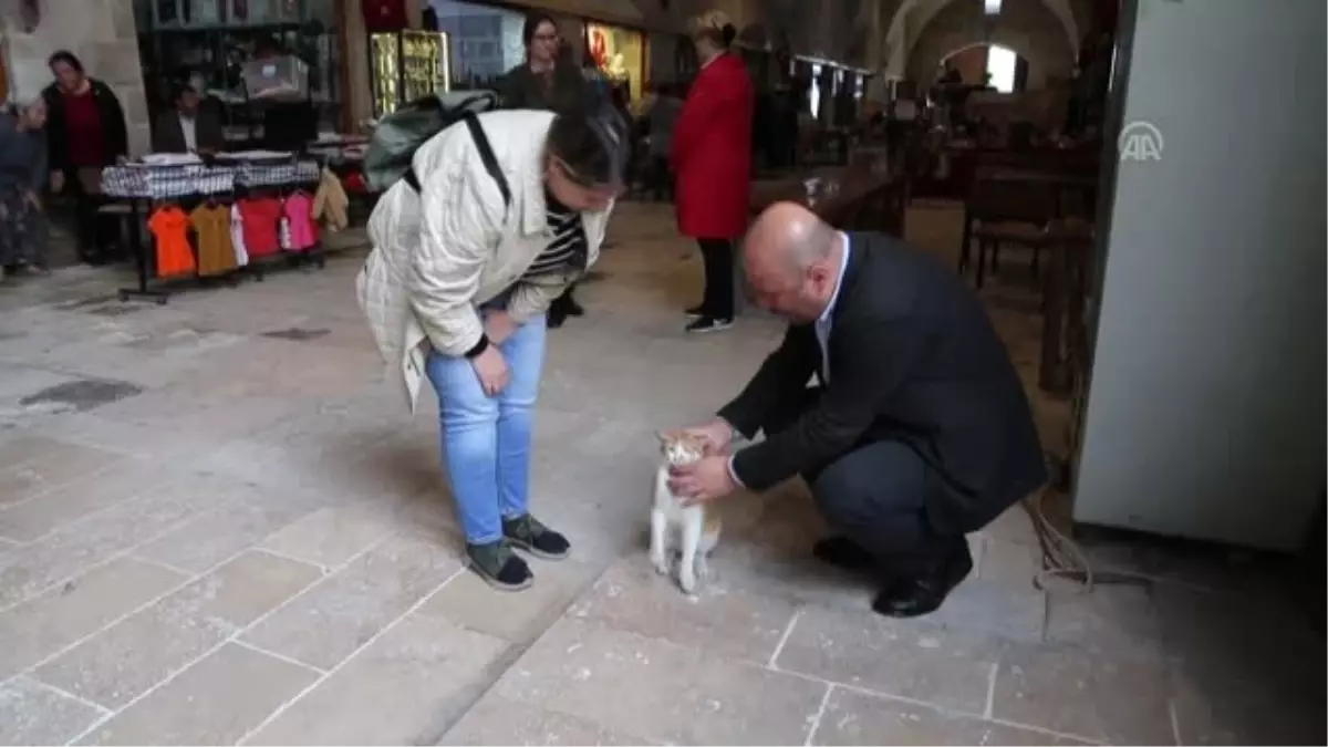 AB Büyükelçileri, Tarihi ve Turistik Yerleri Gezdiler