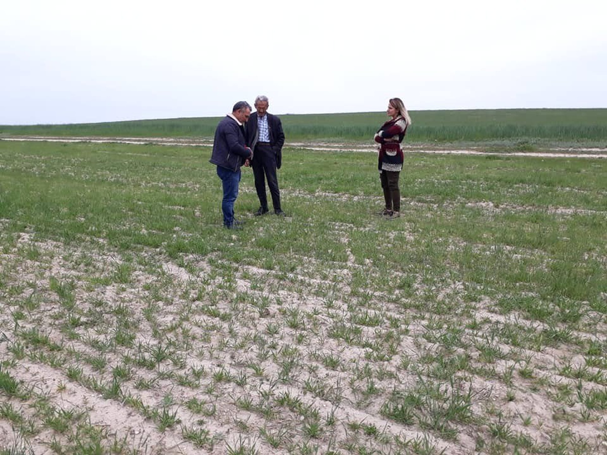 Aksaray\'da Ziraat Mühendisleri Çiftçileri Bilgilendirdi