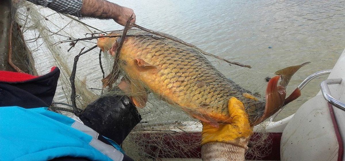 Kaçak Avda Kullanılan Bin Metre Ağ ile 400 Kilo Balık Ele Geçirildi