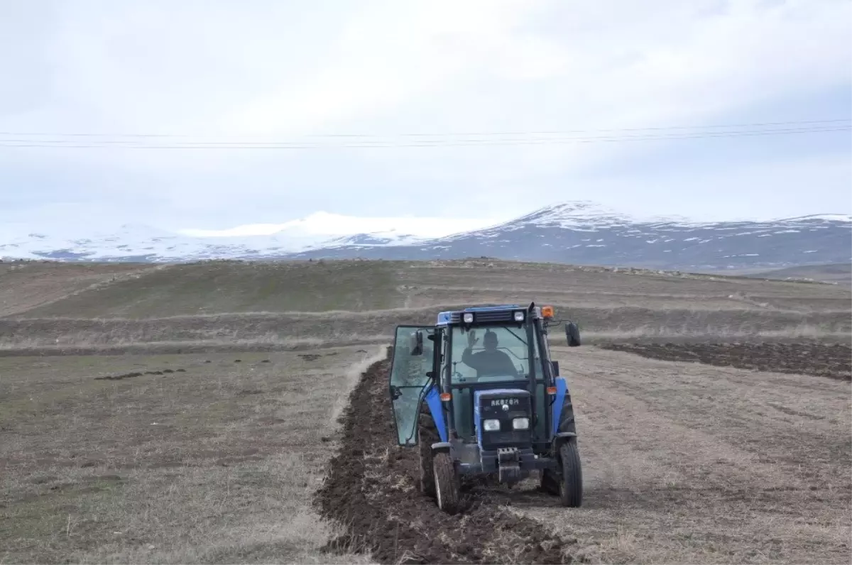 Kars\'ta Çiftçilerin Tarla Sürümü Başladı