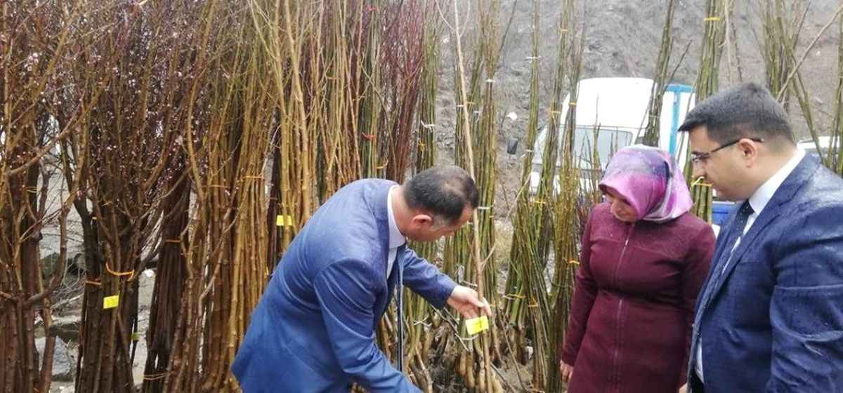 Tarım ve Orman İl Müdürlüğü Fidan Satış Yerlerini Denetliyor