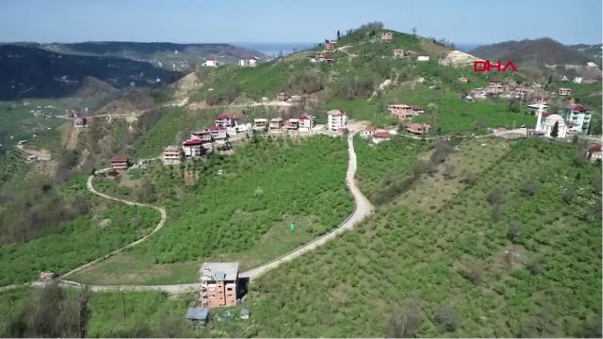 Trabzon Rahatsız Oldular, \'Dul\' Olan Mahallenin Adını Değiştirdiler