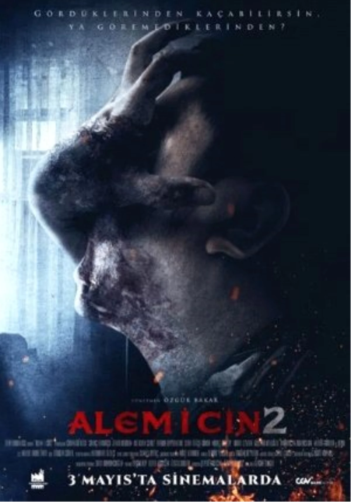 Alem-i Cin 2 Filmi