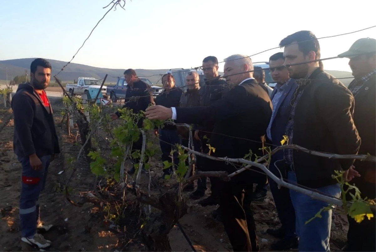 Başkan Bilgin Dolunun Zarar Verdiği Tarım Alanlarını İnceledi