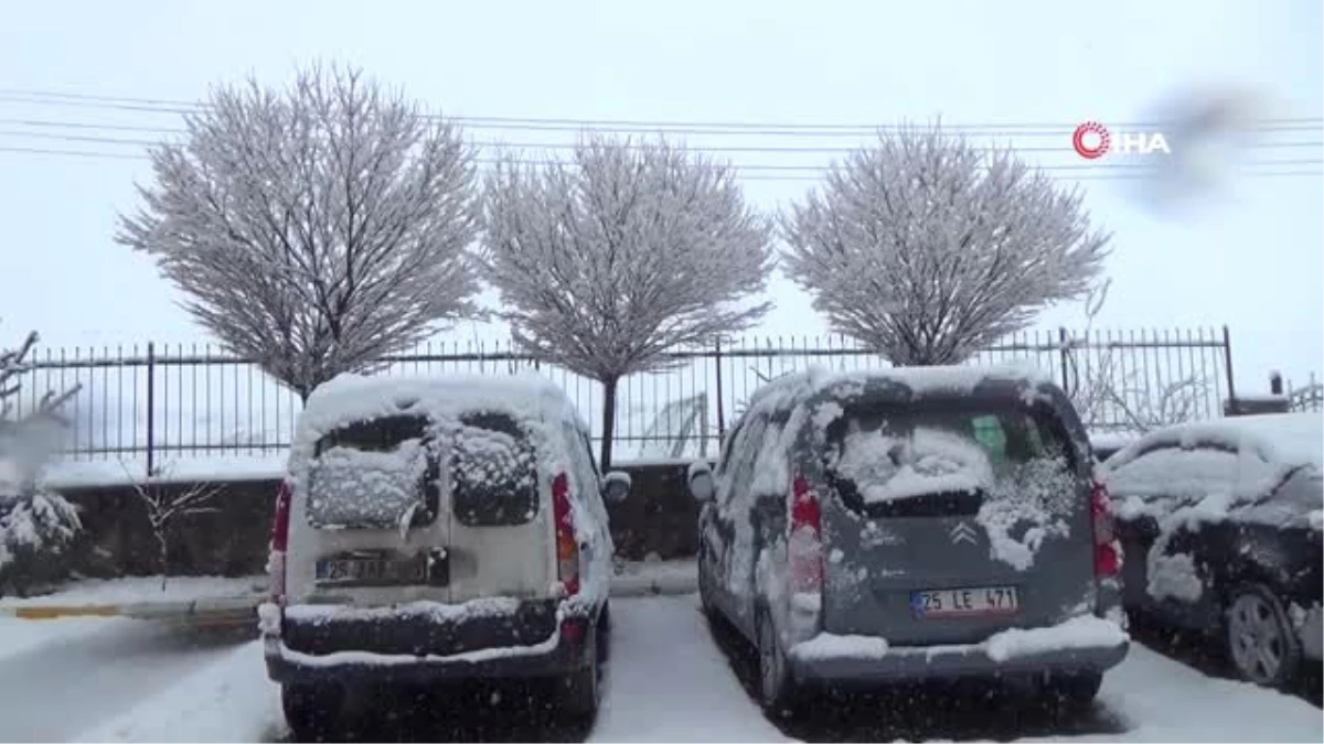 Erzurum\'a Nisan Ayında Lapa Lapa Kar Yağdı...şehir Beyaza Büründü