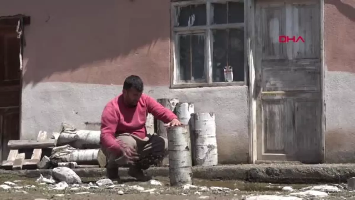 Hakkari Çukurcalı Çiftçi, Evinde İstiridye Mantarı Yetiştiriyor