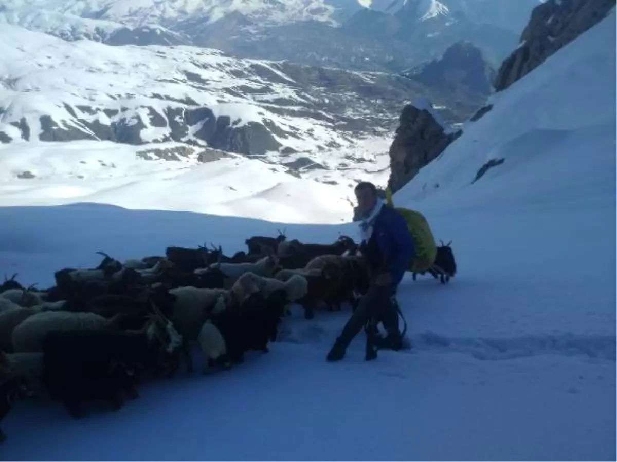 Hakkari\'de Besicilerin Karda Zorlu Yolculuğu