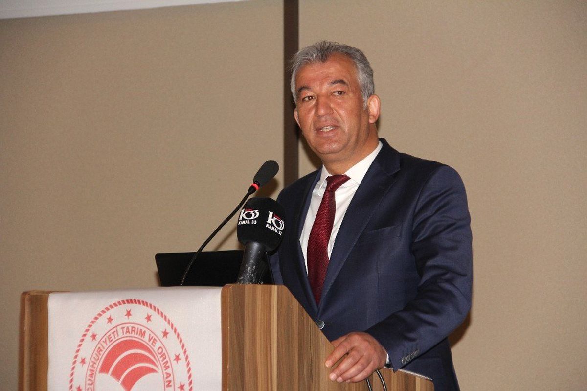 Mersin\'de Etkili Olan Dolu, Ekili Alanlara Büyük Zarar Verdi