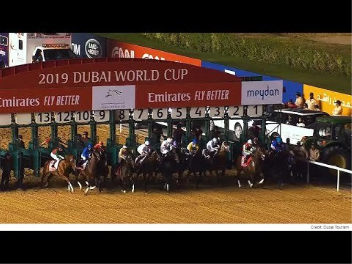 Meydan Hipodromu\'nda Düzenlenen \'24. Dubai World Cup\' At Yarışı Yoğun İlgi Gördü
