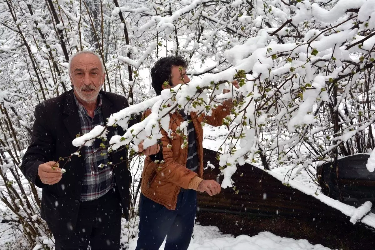 Ordu\'da Nisan Karı Çiftçileri Endişelendirdi