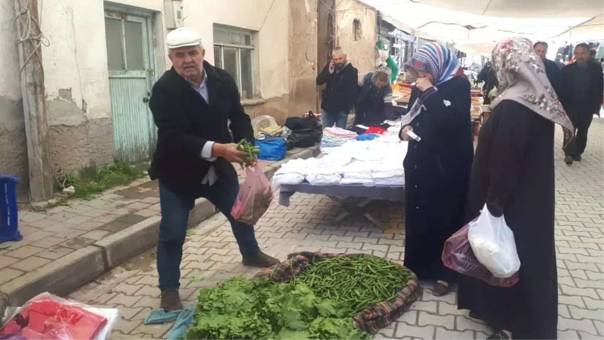 Görenler Şaşkınlık Yaşıyor! Yaprağı Meyvesinden Pahalı