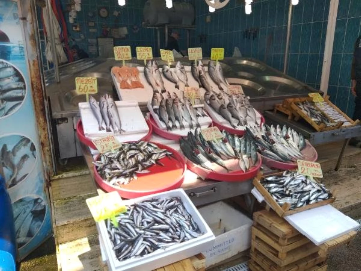 Av Yasağı Nedeniyle Tezgahlardaki Balık Fiyatları Yükseldi