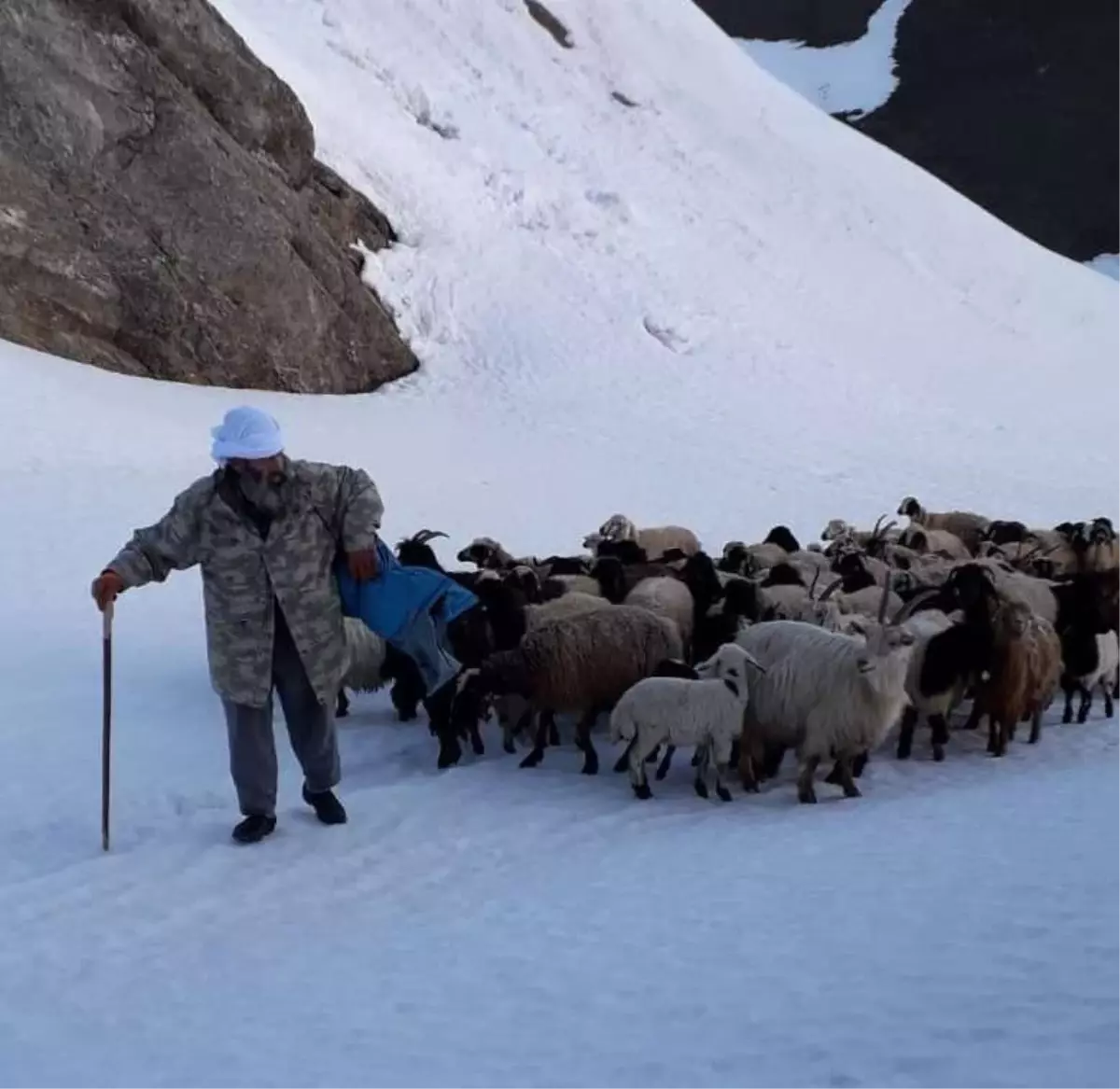 Besicilerin Zorlu Yayla Yolculuğu