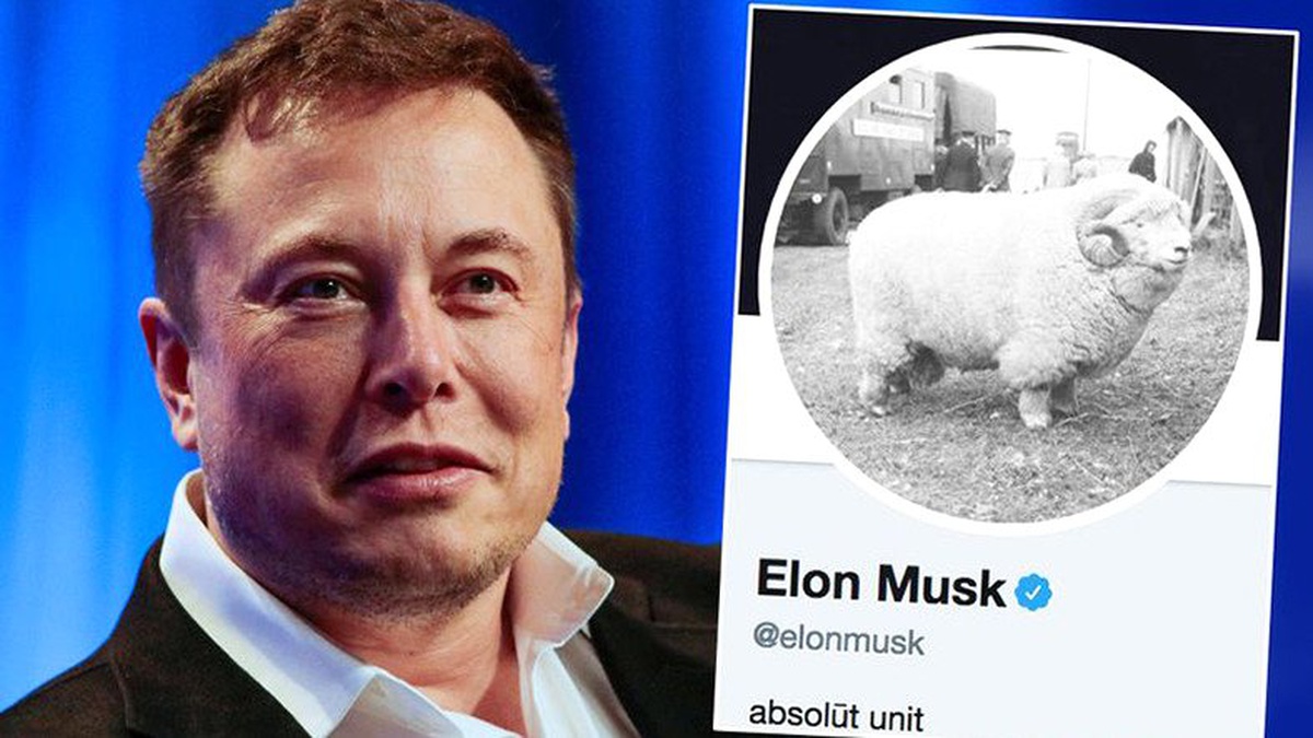 Elon Musk, Twitter\'daki Profil Fotoğrafını Koyun Olarak Değiştirdi: İşte Sebebi