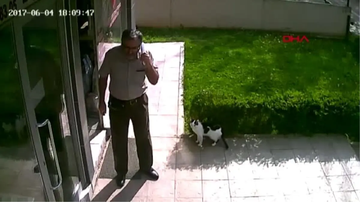 Eskişehir Kediye Tekme Atma Davasında Karar