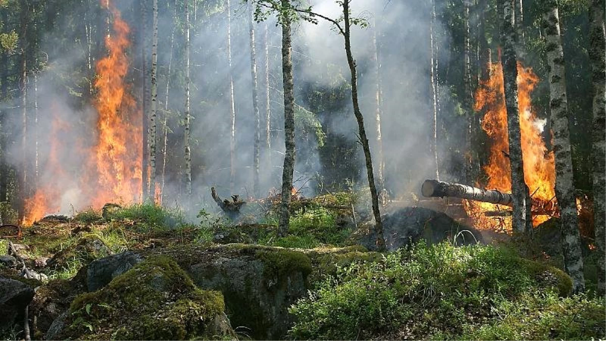 Mangal Yaparken Yangın Çıkaran Öğrencilere 27 Milyon Euro Ceza Kesildi