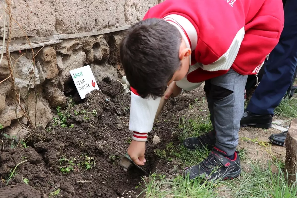 Öğrenciler "Buğdayın Atası"Nı Toprakla Buluşturdu