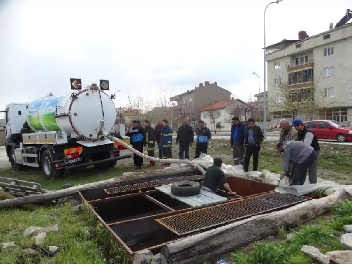 Siloya Düşen İnek, Kepçeyle Kurtarıldı