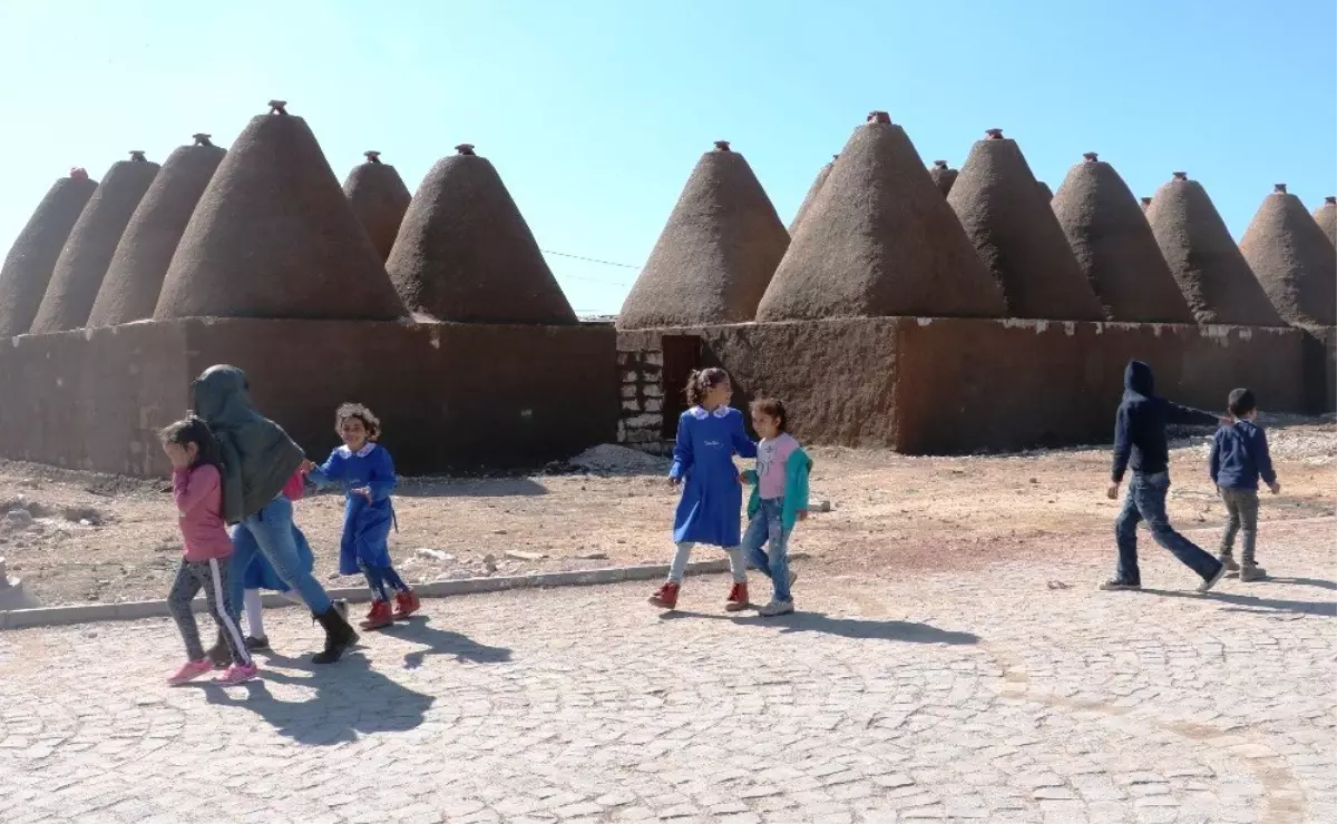 Türkiye\'nin En Genç İli Şanlıurfa