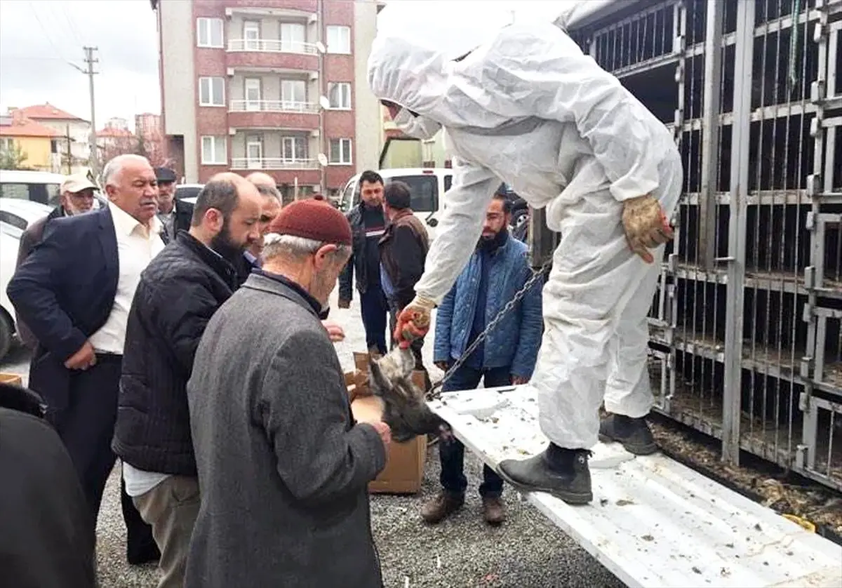 Ziraat Odası Bin 200 Tavuk Sattı