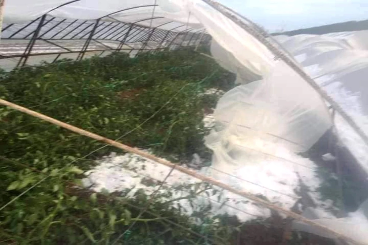 Antalya\'da Çiftçiyi Dolu Vurdu