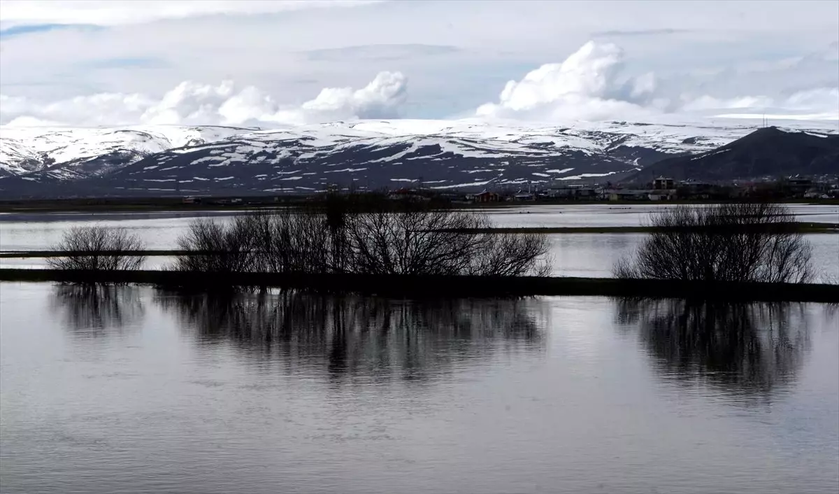 Ardahan\'daki Kura Nehri Taştı