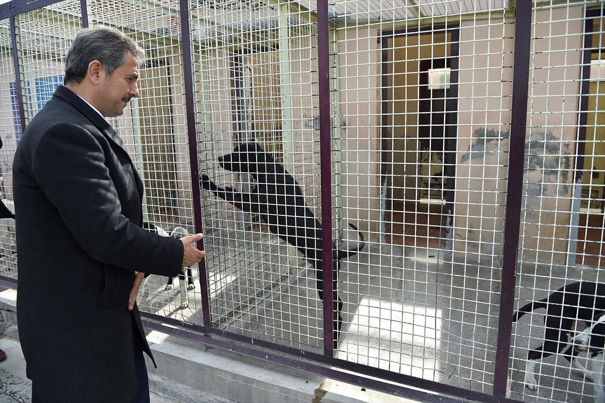 Başkan Köse, Barınağı Denetledi