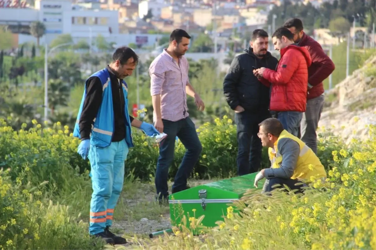 Bu Kelimenin Tek Adamıyla Vahşet !