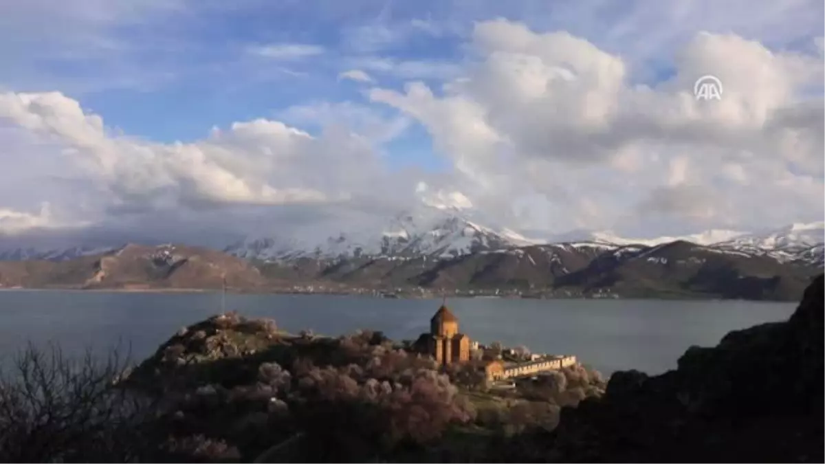 Çiçeklere Bürünen Akdamar Adası Görsel Şölen Sunuyor