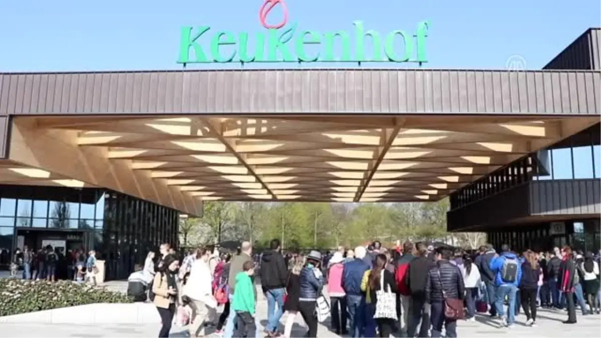 Hollanda\'da "Çiçeğin Gücü" Teması ile Lale Zamanı - Keukenhof