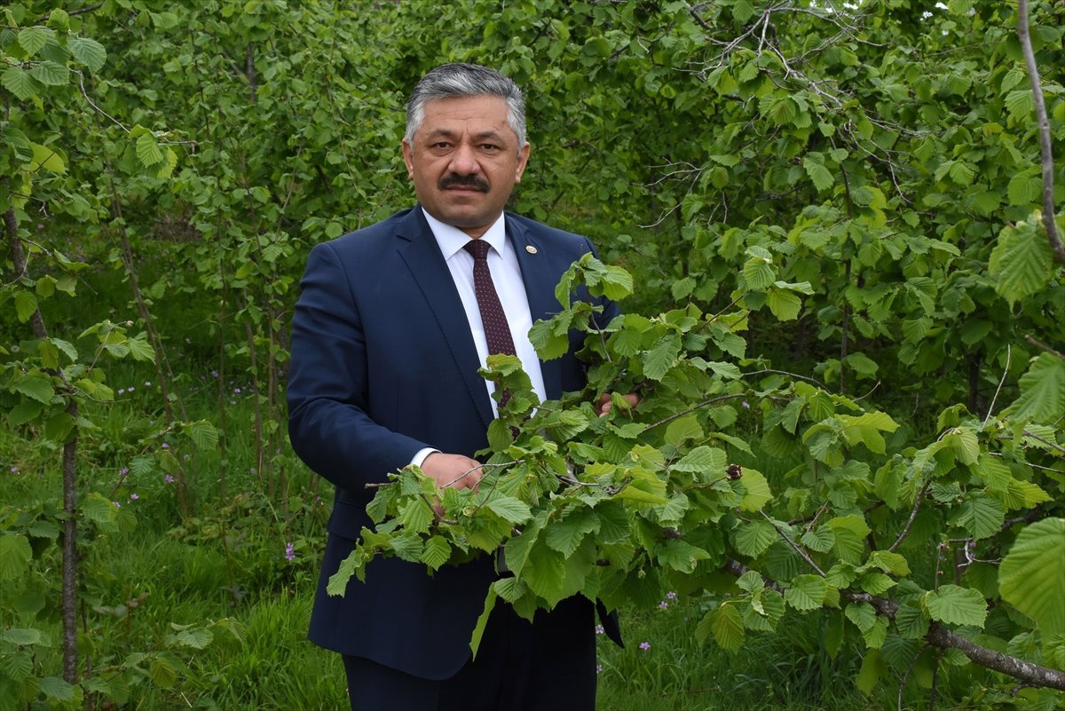 Karadenizli Çiftçilere "Zirai Don" Uyarısı