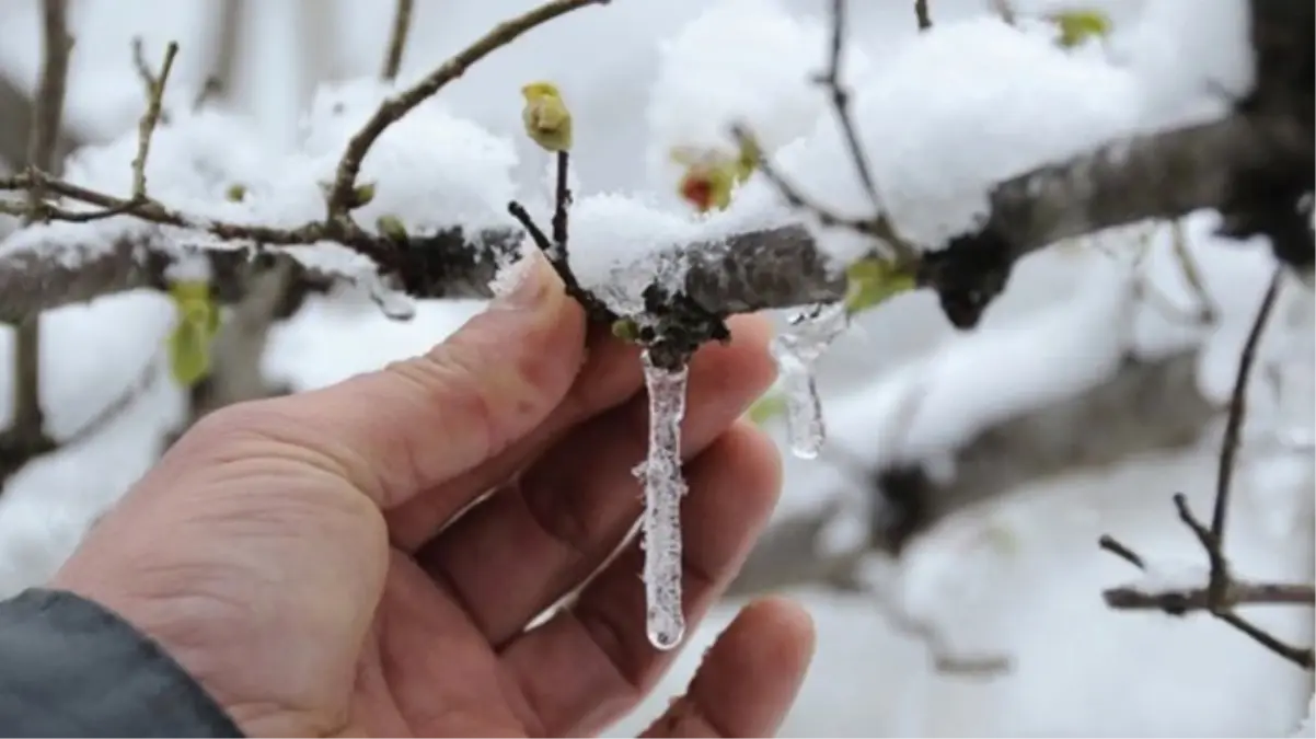 Meteorolojiden "zirai don" uyarısı