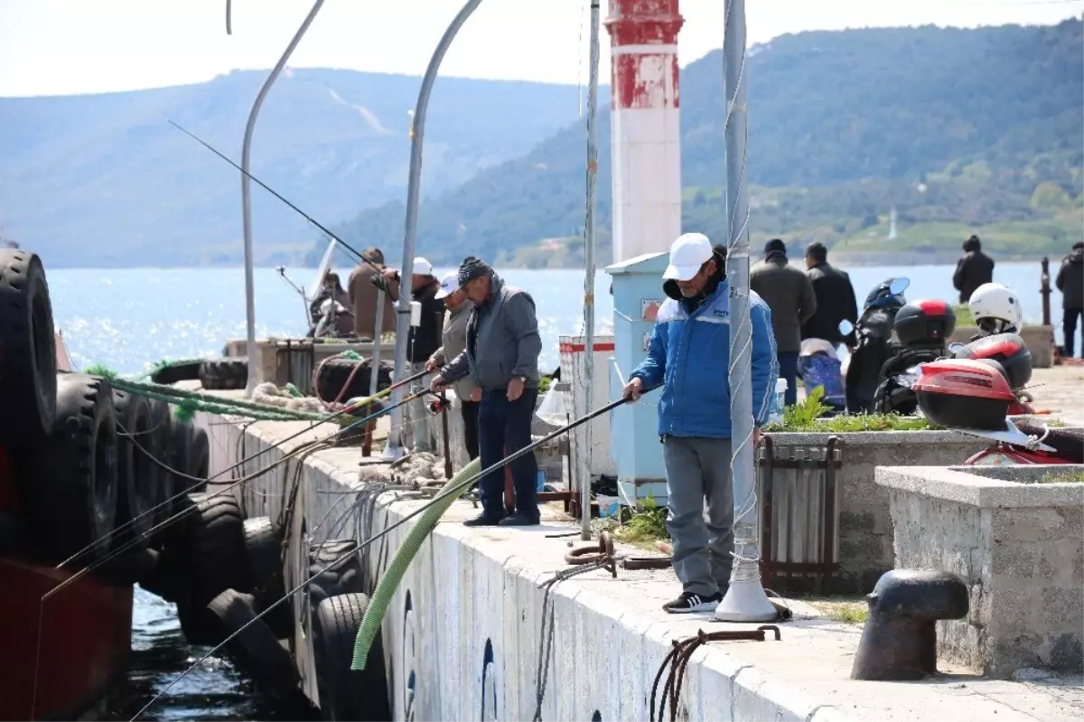Olta Balıkçıları Bilinçsiz Avlanmadan Dert Yanıyor