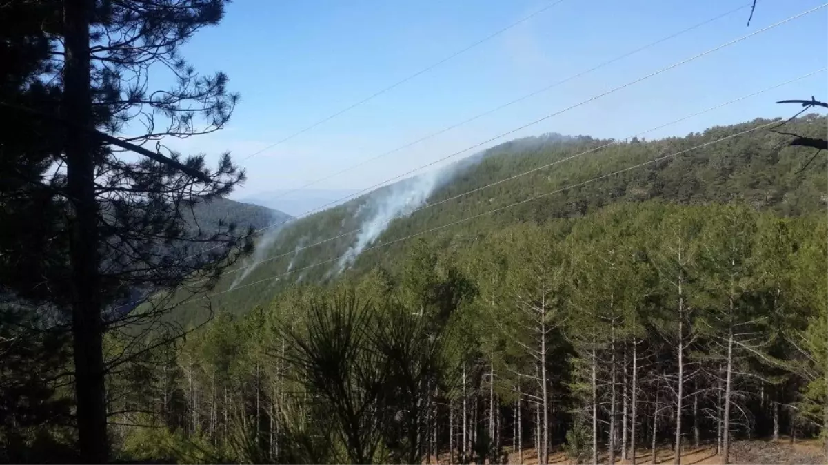 Orman Yangını Büyümeden Söndürüldü