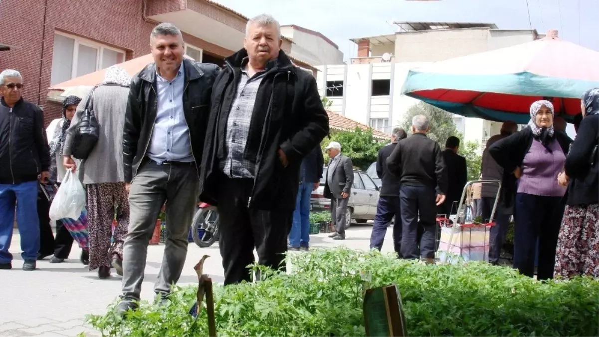 Sebze ve Meyve Fiyatları El Yakınca Fide Satışlarında Patlama Oldu