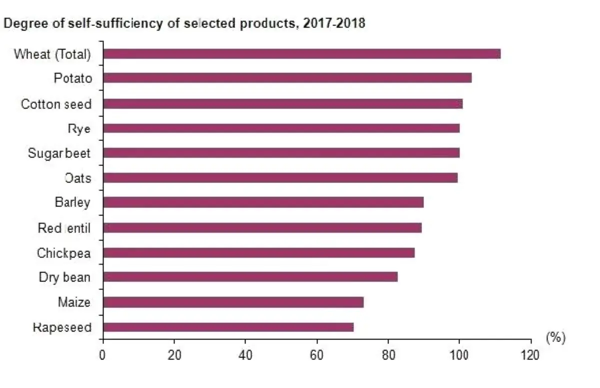 Self-sufficiency For Potato Stood At 103.5 Pct. İn 2017-2018