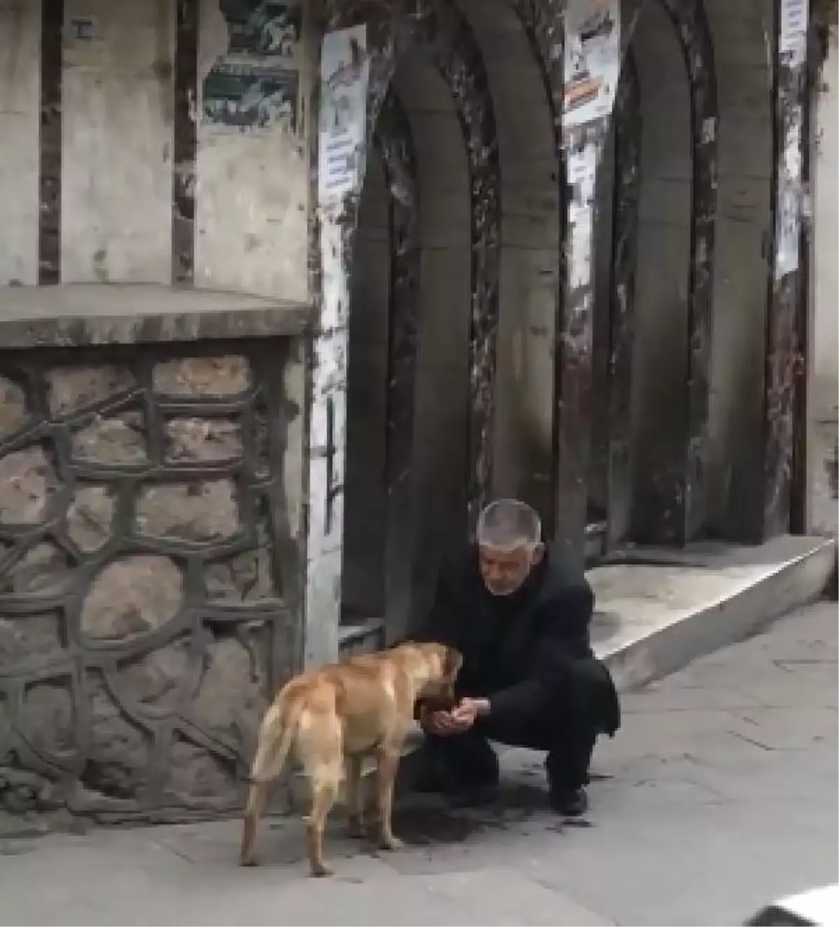 Taksici, Susayan Köpeğe Elleriyle Su İçirdi