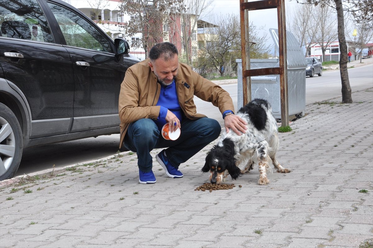 Eski Futbolcu Sokak Sokak Gezerek Hayvanları Besliyor