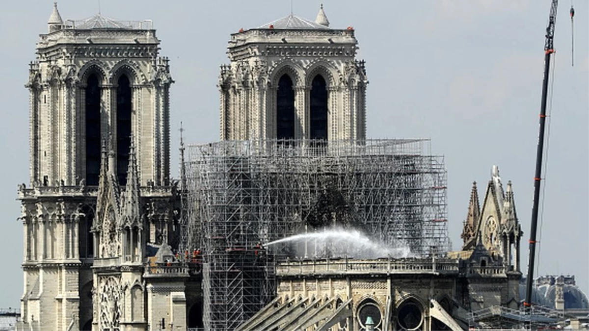 Notre-Dame\'daki Arılar Yangından Sağ Kurtuldu