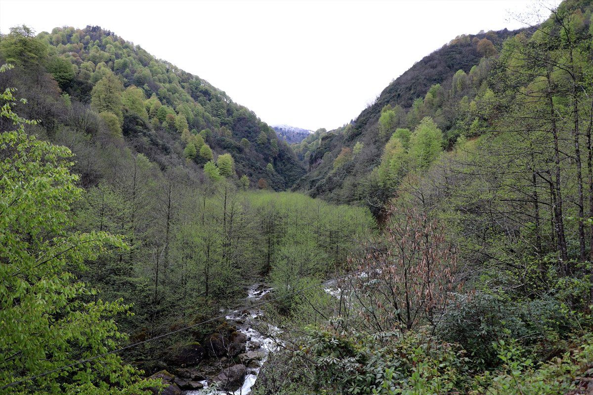 Rize\'de Köylülerden Taş Ocağı Yapımına Tepki