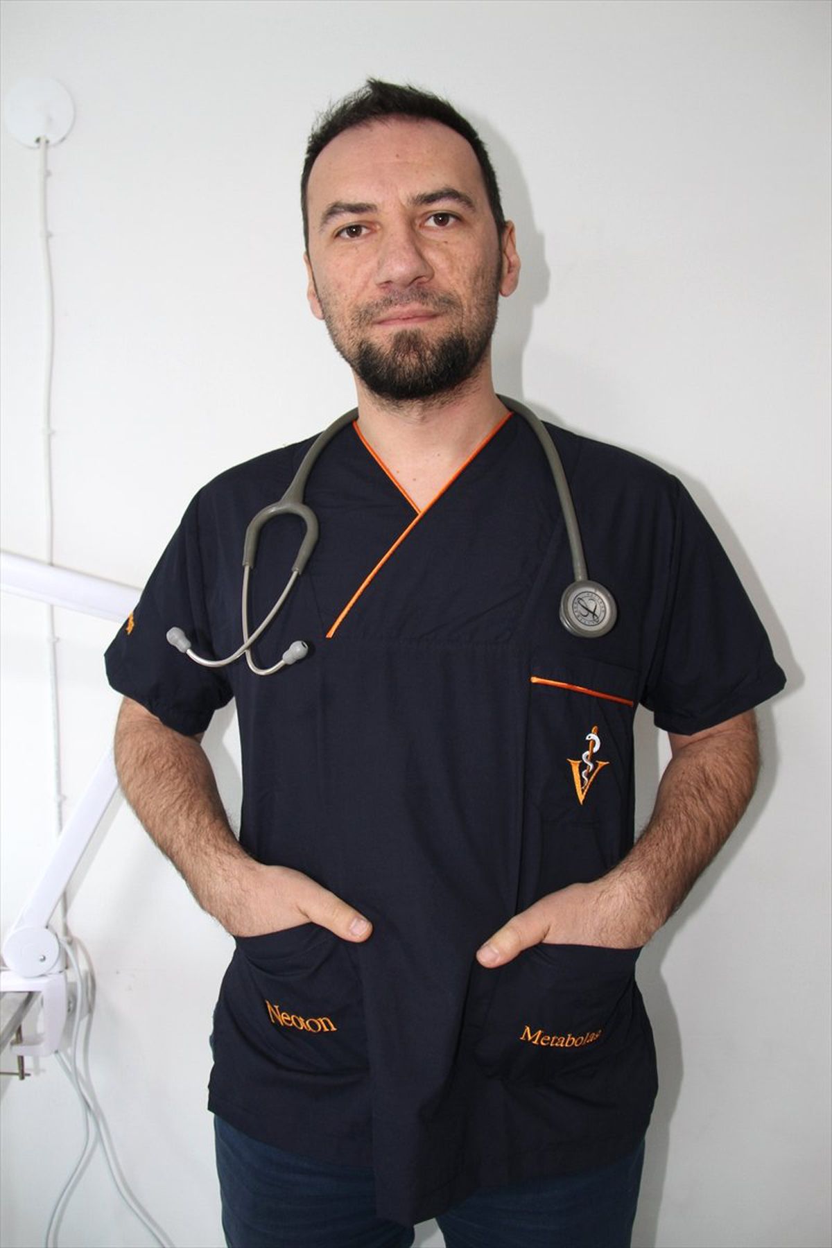 Yapışık Dördüz Kediler Operasyonla Birbirinden Ayrıldı