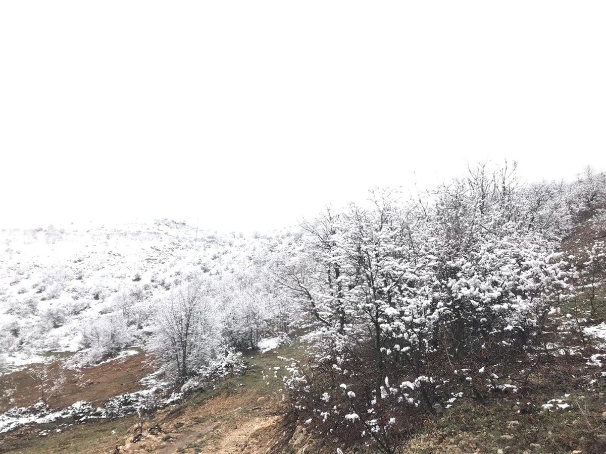 Akçadağ\'da Kar Yağışı Etkili Oluyor