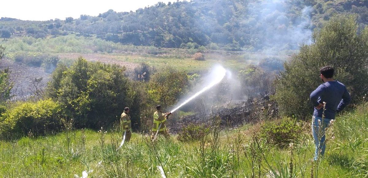 Ayvalık\'taki Orman Yangınında 6 Dönüm Alan Zarar Gördü