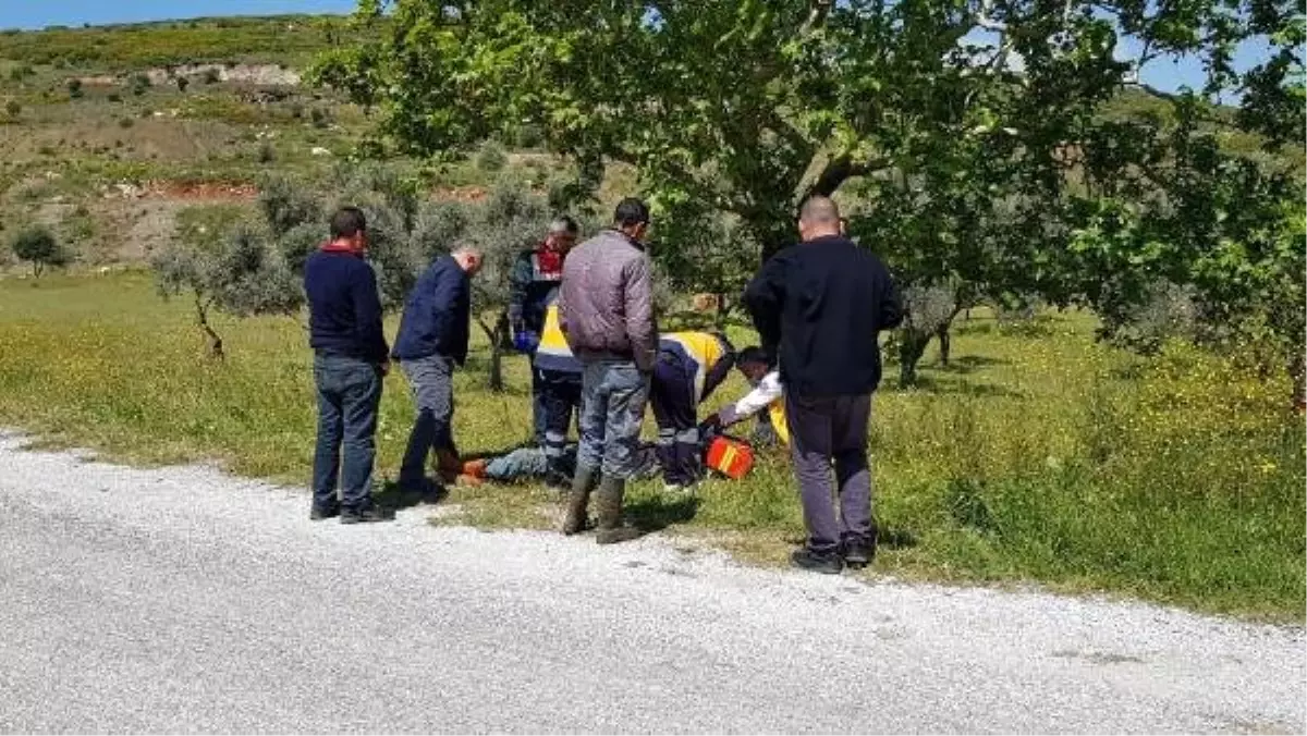 Çoban Yol Kenarında Ölü Bulundu